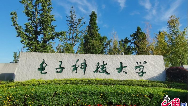 电子配件批发价格，揭秘影响价格的关键因素